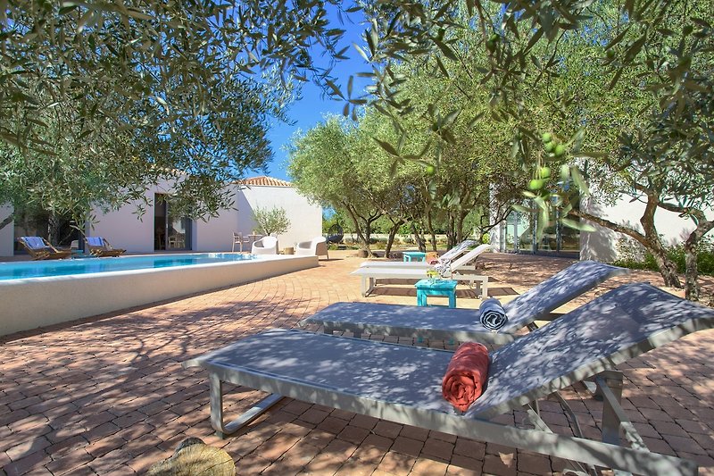 Schattiger Garten mit Bäumen, Outdoor-Möbeln und Straße. Entspannen Sie sich in diesem idyllischen Ferienhaus!