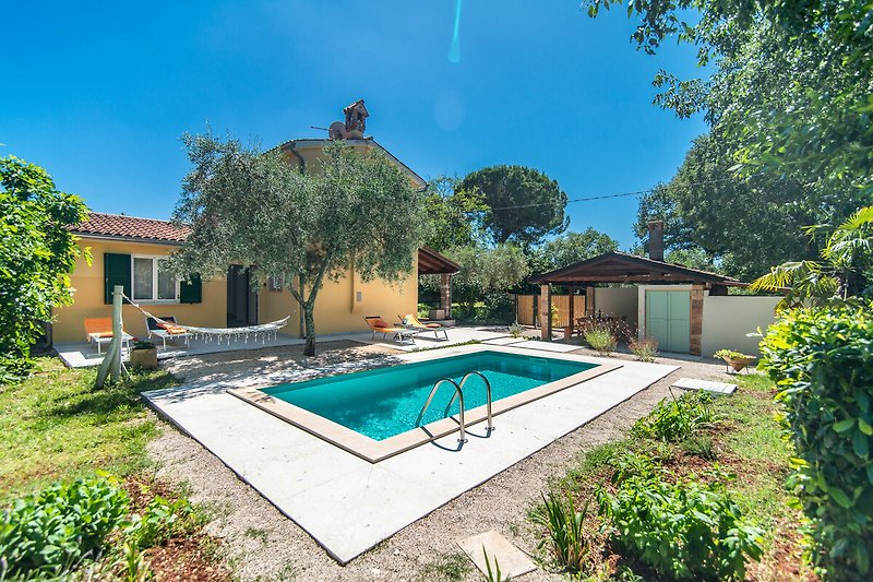 Privater Pool mit Liegestühlen, umgeben von Garten und blühenden Sträuchern.