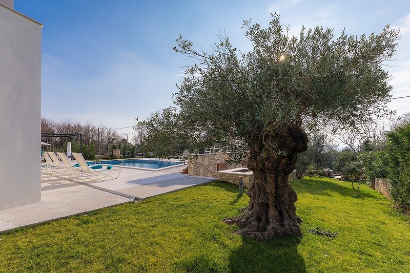 Villa Laura