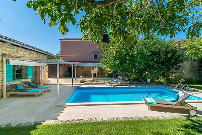 Casa Apricot