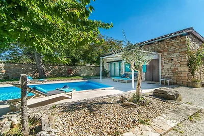 Casa Apricot