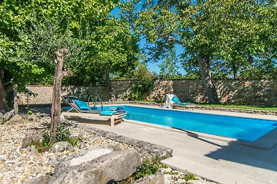 Casa Apricot