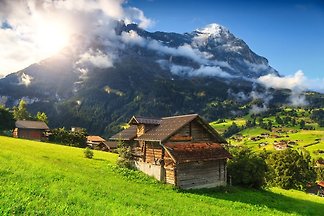 Die Ferienwohnung Sehr stilvoll ein