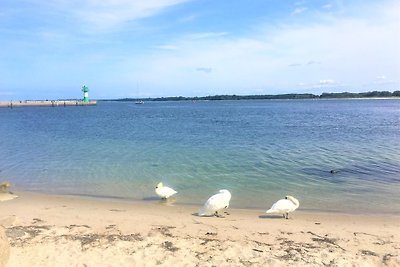 Traumoase in Timmendorfer Strand