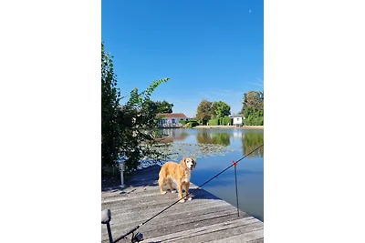IJsselmeerStern