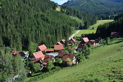 Ferienhaus Schottroff