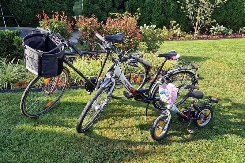 Fahrräder für  ganze Familie