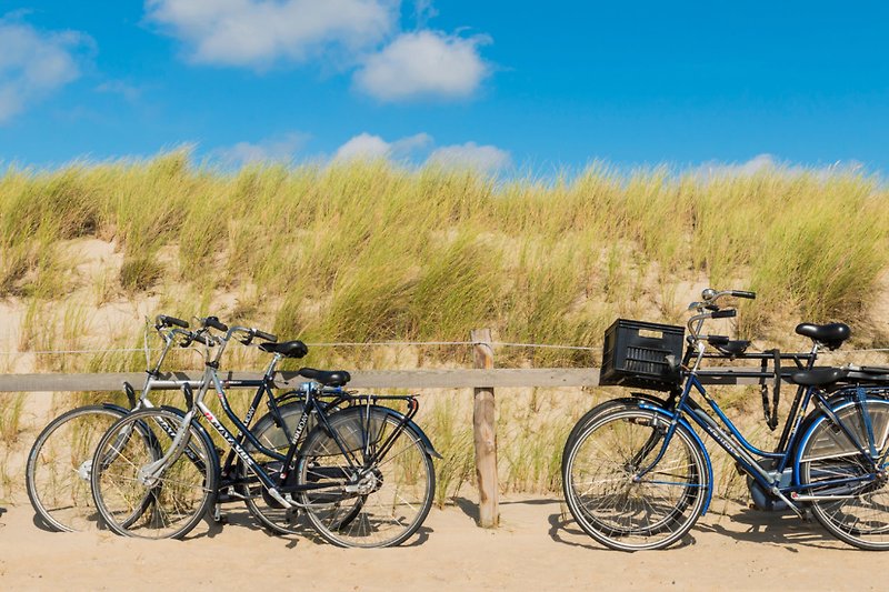 Radfahren auf Texel