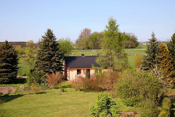 Ferienhaus Admannshagen-Bargeshagen