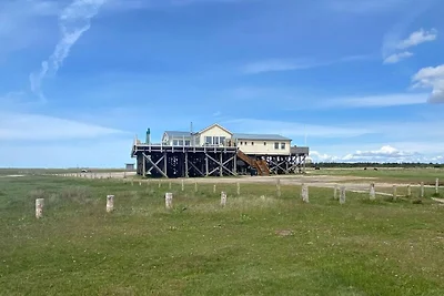 Ferienhaus Winkelbungalow Garding