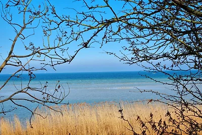 Ferienwohnung Deich und Meer in Stein