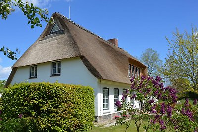 Ferienhaus Hyggeby Steinbergkirche