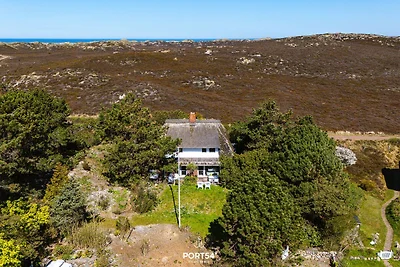 Ferienhaus Das Blaue Haus List auf Sylt