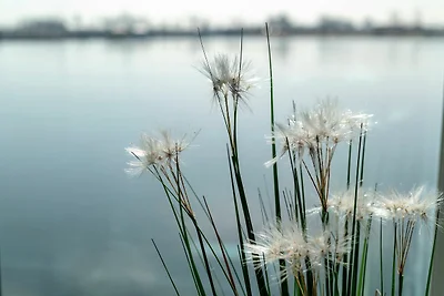 Domek letniskowy Urlop wypoczynkowy Kappeln