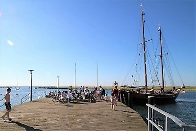 Ferienwohnung Kieler Förde 5318 Marina...