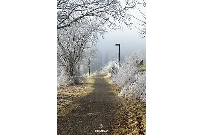 Ferienhaus Wurmberg - St. Andreasberg im Harz