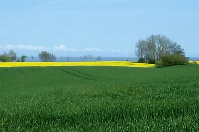 Vakantieappartement Gezinsvakantie Brodersby