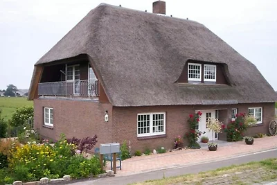 Ferienwohnung Strandläufer Galmsbüll