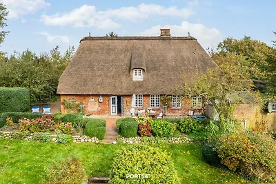 Ferienhaus Haus Holländerdeich Fahretoft