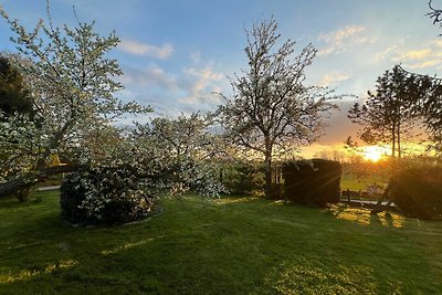 Vakantiehuis Ontspannende vakantie Steinberg