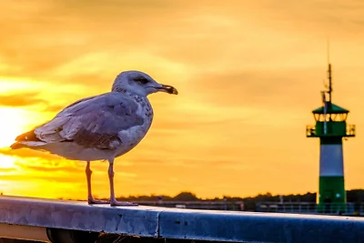 Ferienwohnung "Hafenliebe" Travemünde