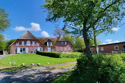 Ferienwohnung Clara Hof Döttgebüll