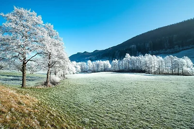 Ferienwohnung Alpen Appartement Winterberg