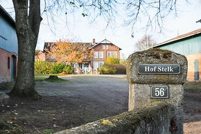Ferienwohnung Sööte Stuuv - Stein