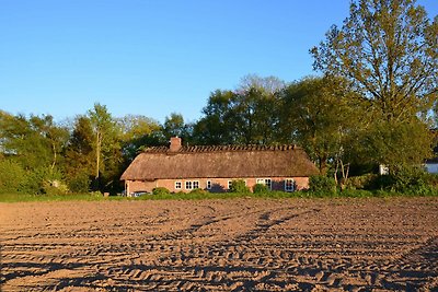 Ferienhaus Kate am Barkenhof Dollrottfeld