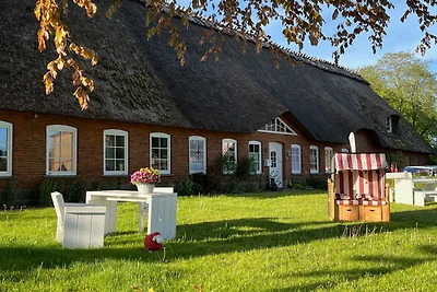 Ferienwohnung Ole - Reet und Erholung - Rings...