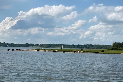 Appartamento Vacanza con famiglia Schleswig