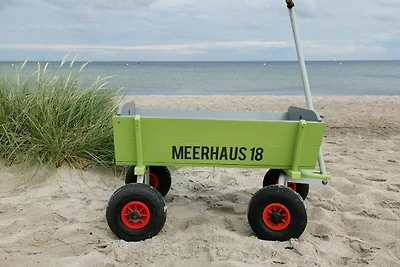 Ferienwohnung Meerhaus 18 Olpenitz