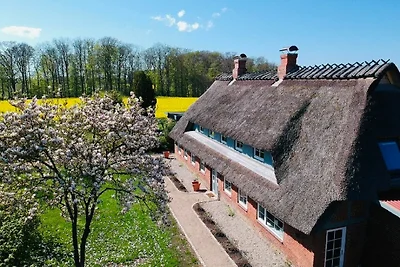 Reetdachkate Fjord Cottage - Haushälfte...