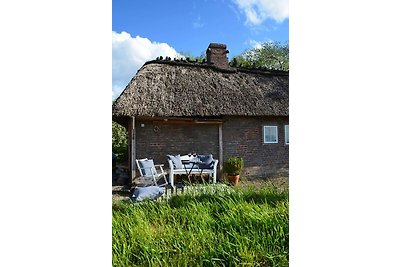 Ferienhaus Kate am Barkenhof Dollrottfeld