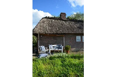 Ferienhaus Kate am Barkenhof Dollrottfeld