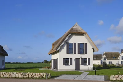 Reetland am Meer LuxusPlus Reetdachvilla mit ...
