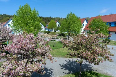 Feriendorf Rugana Budget Ferienwohnung mit 1 ...