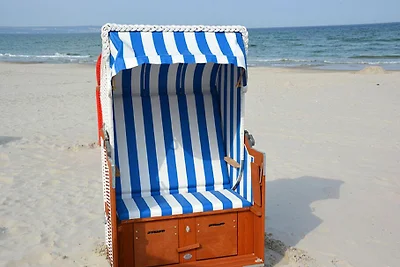 Dünenpark Binz Komfortplus Ferienwohnung mit ...