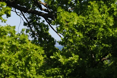 apartman za odmor Obiteljski odmor Heringsdorf
