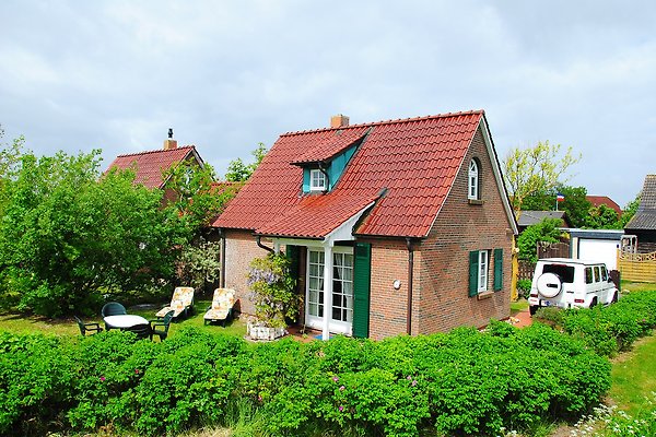 Obj. 124 Ferienhaus Friedrichskoog in Friedrichskoog - Firma Ingrid