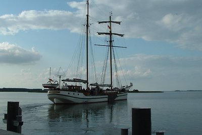 Südwind