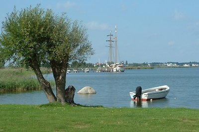 Südwind