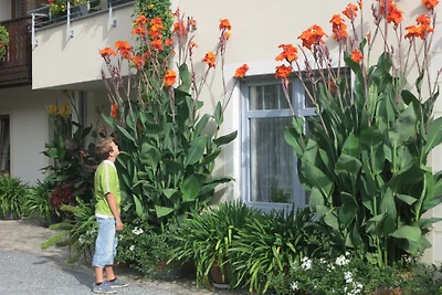 Ferienwohnung im Sonnenhof