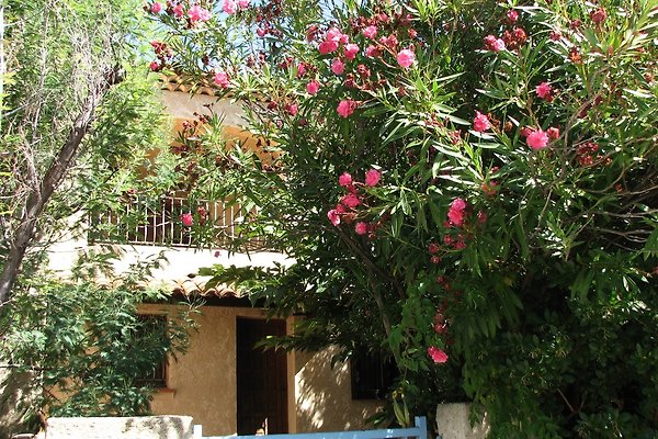 Ferienhaus Les Salles-sur-Verdon