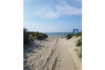 Mobilheim Seestern