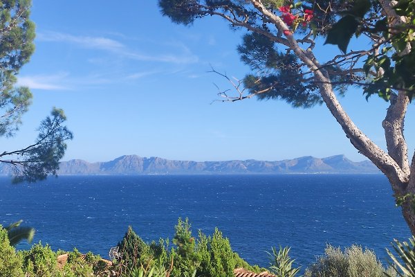 Ferienhaus Port d'Alcúdia