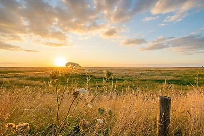 Casa vacanze Vacanza di relax Emmelsbüll-Horsbüll