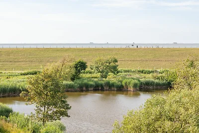 Vakantieappartement Gezinsvakantie Nordstrand
