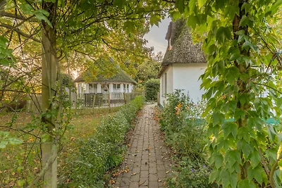Kastanienhof Hagebutte