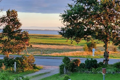 Nordsee & Wald